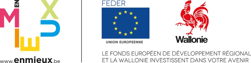logo2017 FEDER wallonie