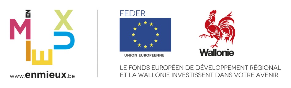 logo FEDER+wallonie