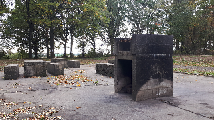 Création d'un espace barbecue au bois de Faweux - Polleur
