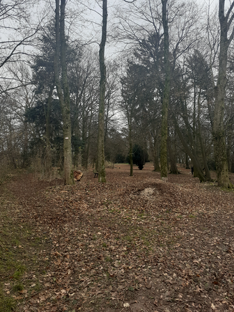 Lifting du parc du Château des Moines - Stembert
