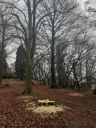 Lifting du parc du Château des Moines - Stembert