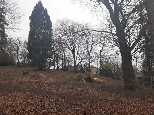 Lifting du parc du Château des Moines - Stembert